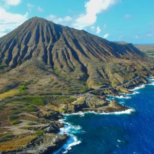 Vibrant tropical flowers and lush Hawaiian landscape