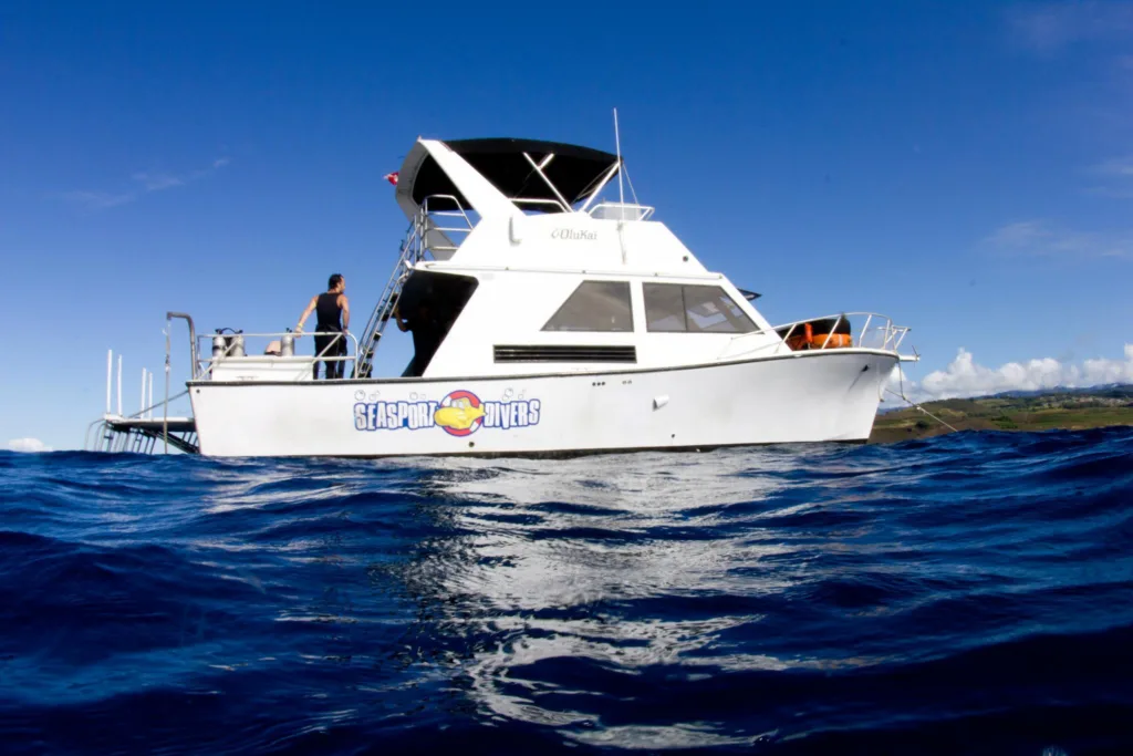 Scuba divers preparing for afternoon two tank dive