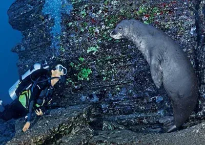 Experienced divers preparing for Niihau dive charter trip