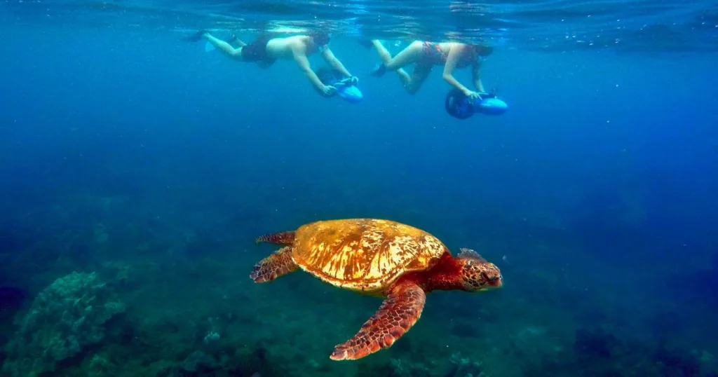 Couple snorkeling with GoPro at Wailea Beach