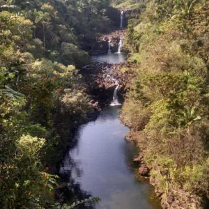 Lush gardens and waterfalls on scenic island tour