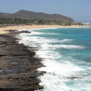 Tourists snorkeling along North and South Oahu shores