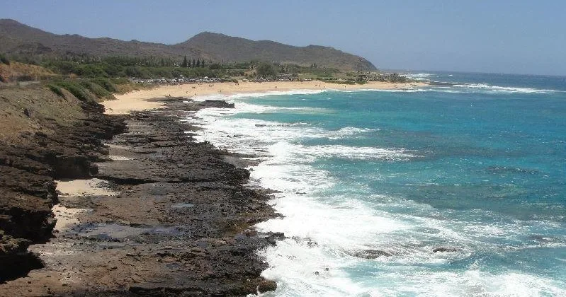 Tourists snorkeling along North and South Oahu shores