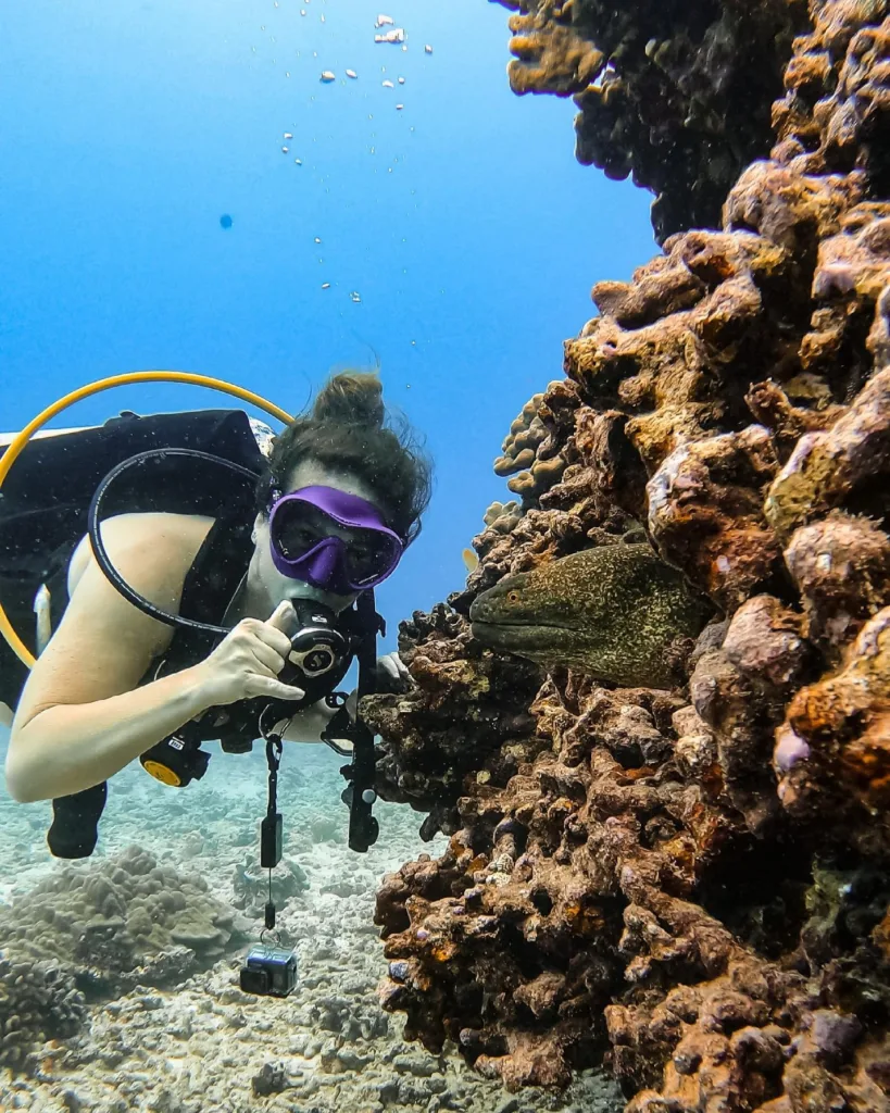 Diverse scuba diving packages available in Waikiki