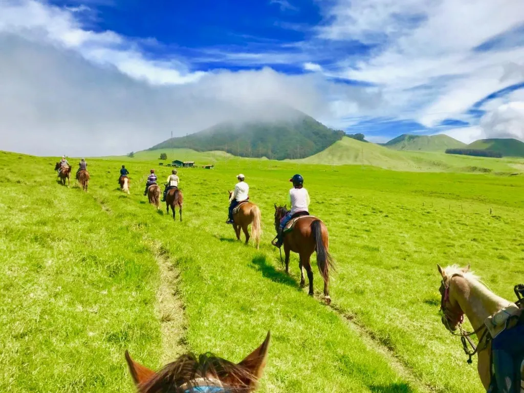 Rider enjoying Kohala Coast horseback tour with guide