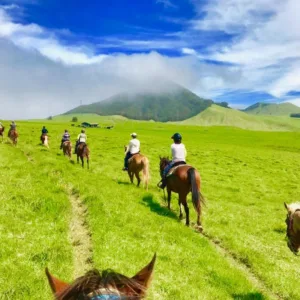 Rider enjoying Kohala Coast horseback tour with guide