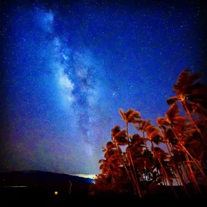Night sky filled with stars during Zeus stargazing tour