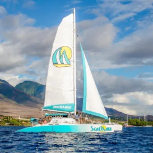 Private charter boat cruising near whale watching area