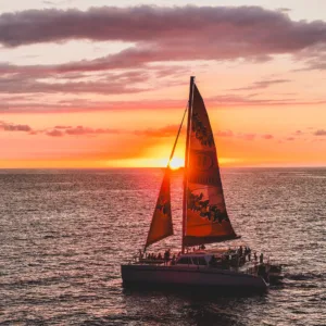 Sail along Kohala Coast during a stunning sunset cruise