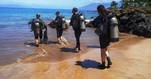Scuba divers exploring a coral reef near the beach