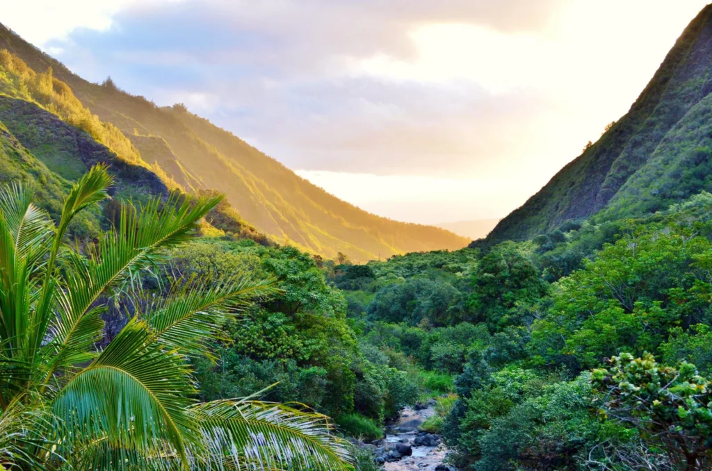 Scenic view of lush Iao Valley greenery
