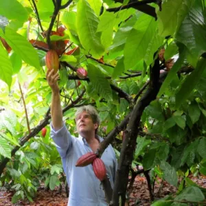 Visitors sampling fresh chocolate at the factory