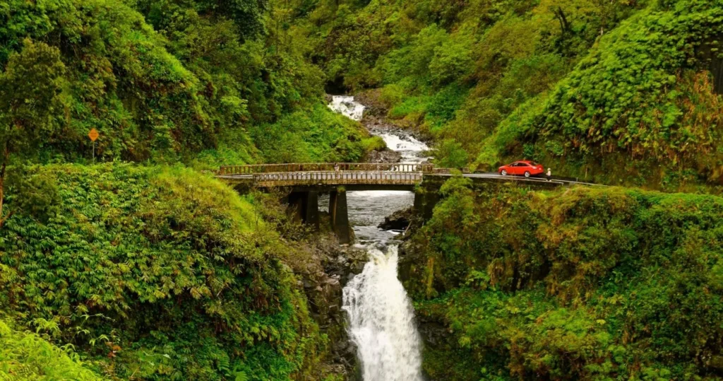 Scenic Hana Bound tour exploring Maui's lush landscapes