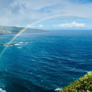 Scenic coastal views on a full circle Maui tour