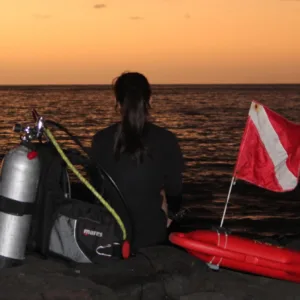 Diving at vibrant Sunset Reef near Kona coast