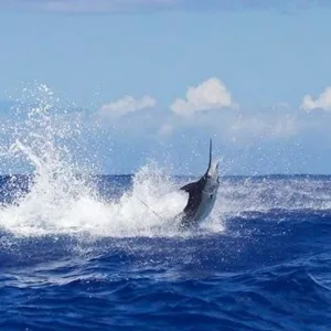 Group enjoying a fishing charter near Kauai island