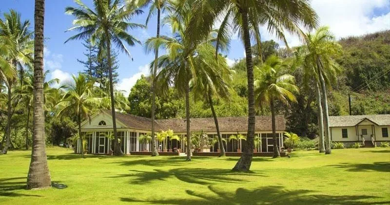 Sunset casting warm light over Allerton Garden scenery