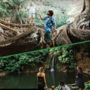 View combining mountain peaks and ocean shorelines