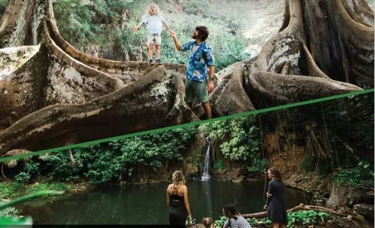 View combining mountain peaks and ocean shorelines