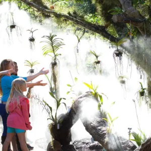 Visitors walking along trail in McBryde Garden