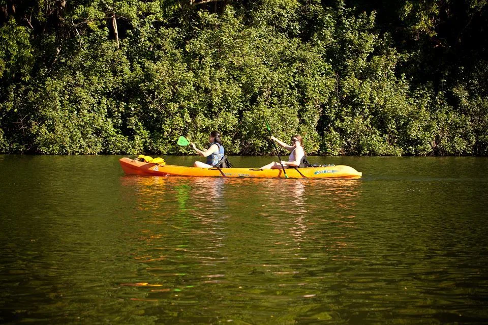Ocean kayak tour to the hidden Secret Falls waterfall
