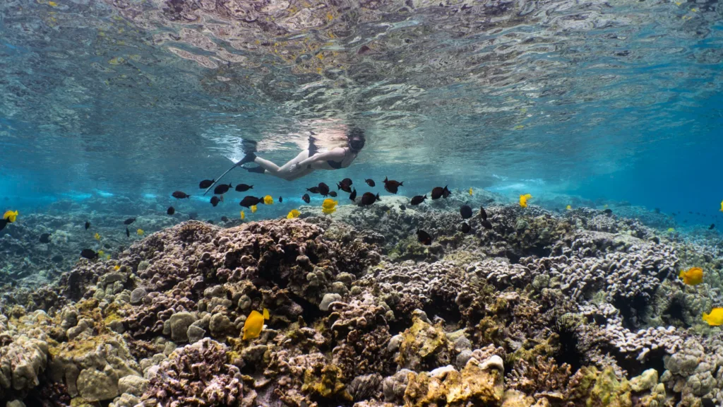 Scenic view of Captain Cook Monument at Kealakekua Bay