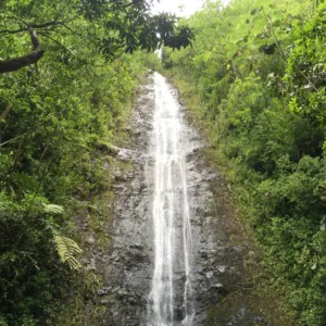Nature hike exploring Waikiki’s scenic trails and views