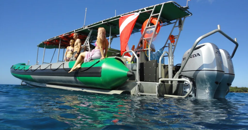 Snorkelers exploring vibrant coral reefs in Na Pali Coast