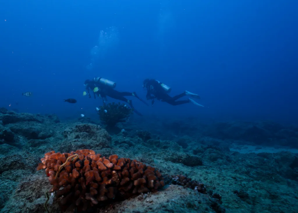Scuba diver exploring reef during twilight on Kauai