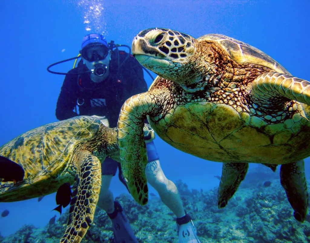Scuba divers gearing up for two tank dive charter
