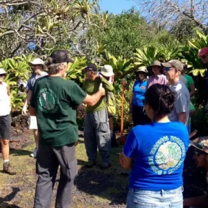 Guided tour exploring lush Kahanu Garden greenery