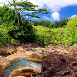 Trekking through bamboo forests on Haleakala Maui small group tour