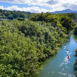 Stand up paddleboarding lessons for beginners