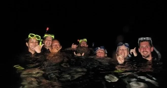 Group snorkeling with manta rays under night sky