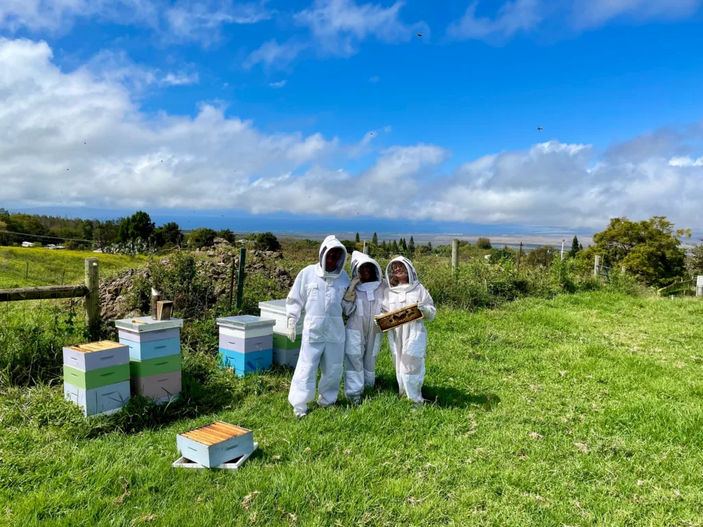 Hands-on workshop with honey bees in natural environment