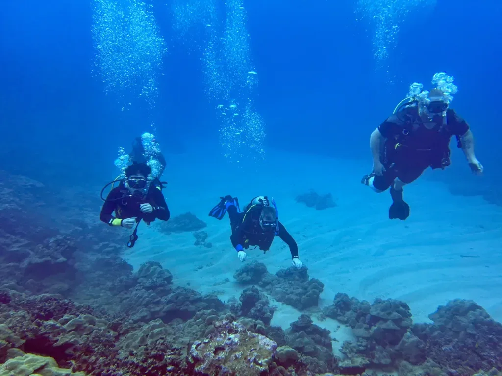 Diver exploring vibrant coral reef at Leleiwi Beach