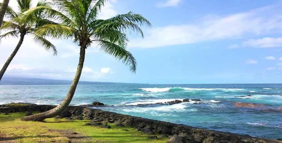 Snorkel at Sea Turtle Lagoon and relax on a black sand beach