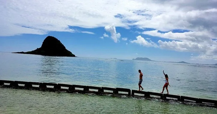 Half-day circle island tour exploring Oahu’s highlights