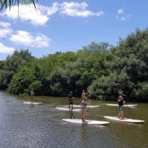 Stand up paddleboard rental ready on sandy island beach