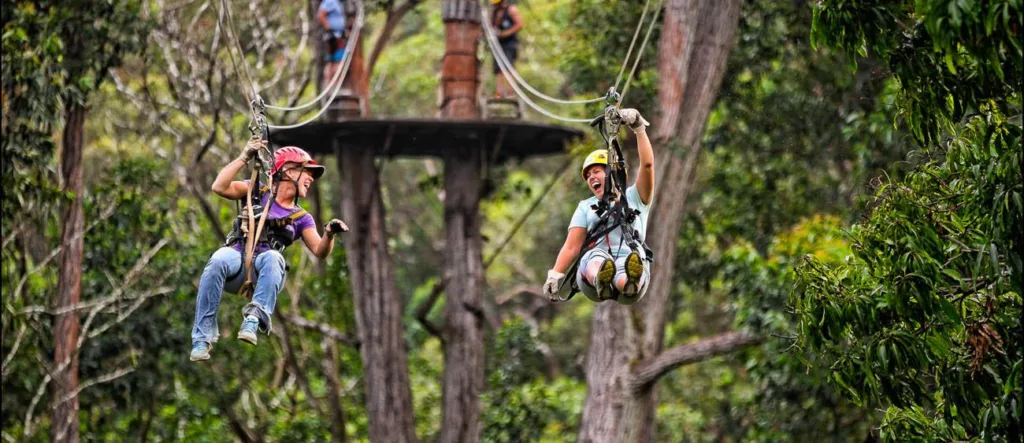 Ziplining through lush Kohala Coast forests