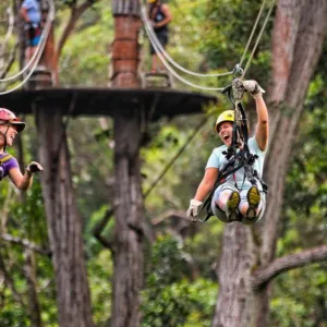 Ziplining through lush Kohala Coast forests