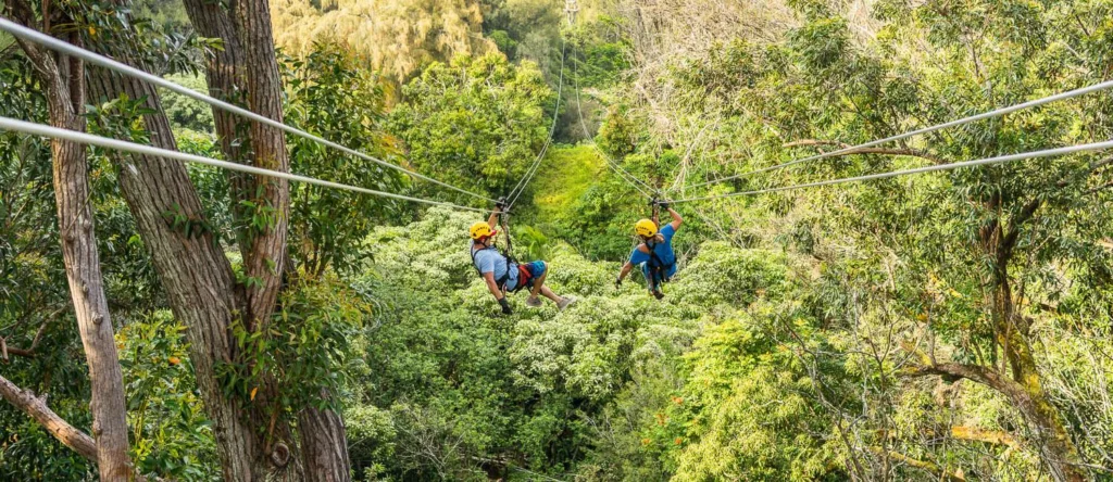 Person ziplining over lush forested hills on the Kohala Coast