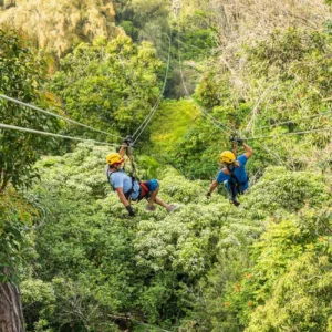 Person ziplining over lush forested hills on the Kohala Coast