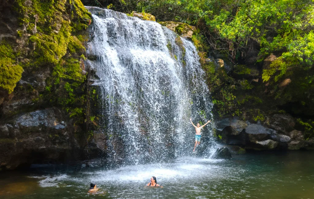 Adventure tour exploring Kohala’s stunning waterfalls and nature
