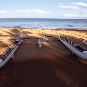 Paddling traditional outrigger canoe near turtles