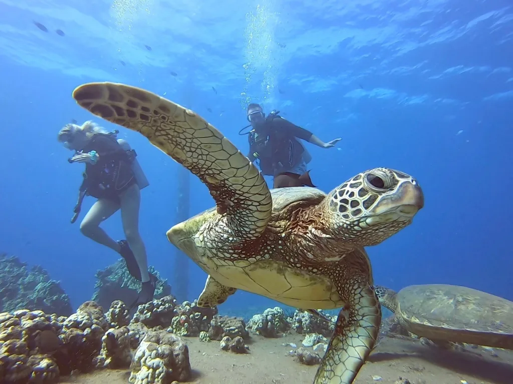 Night helicopter tour over Maui’s coastline and reefs