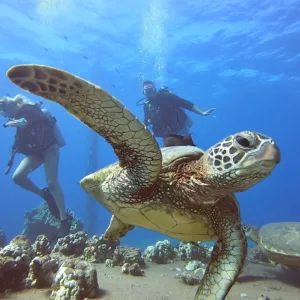 Night helicopter tour over Maui’s coastline and reefs