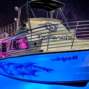 Whale watching tour departing from Waikiki shores