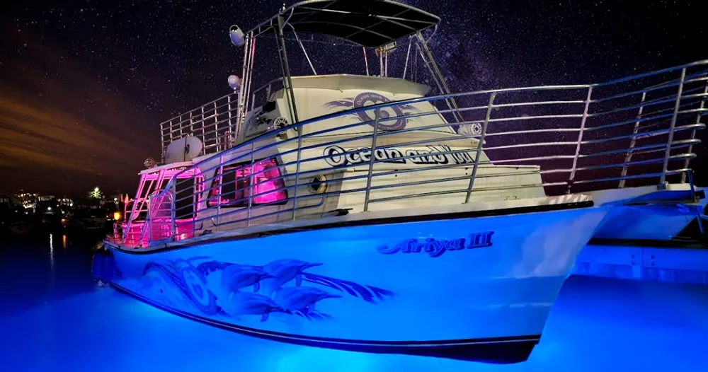 Whale watching tour departing from Waikiki shores