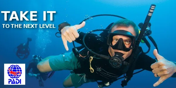 Beginner scuba divers preparing for two tank dive in Waikiki